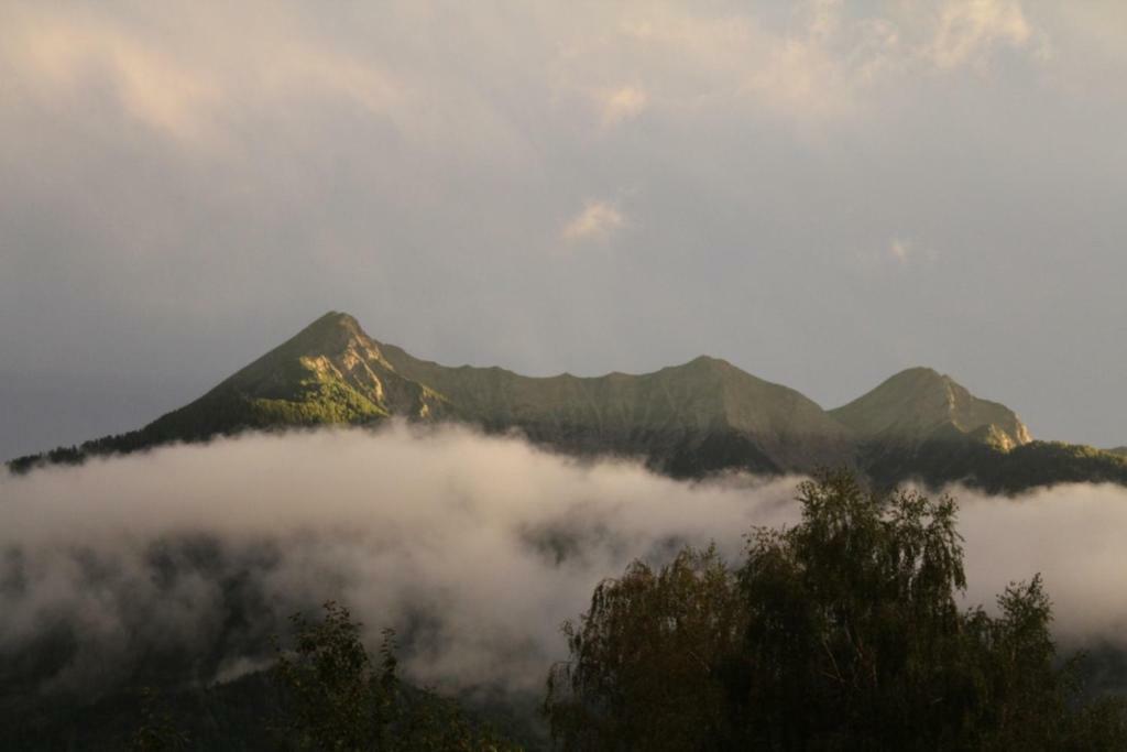 Eichenhof Villa Berg im Drautal Dış mekan fotoğraf